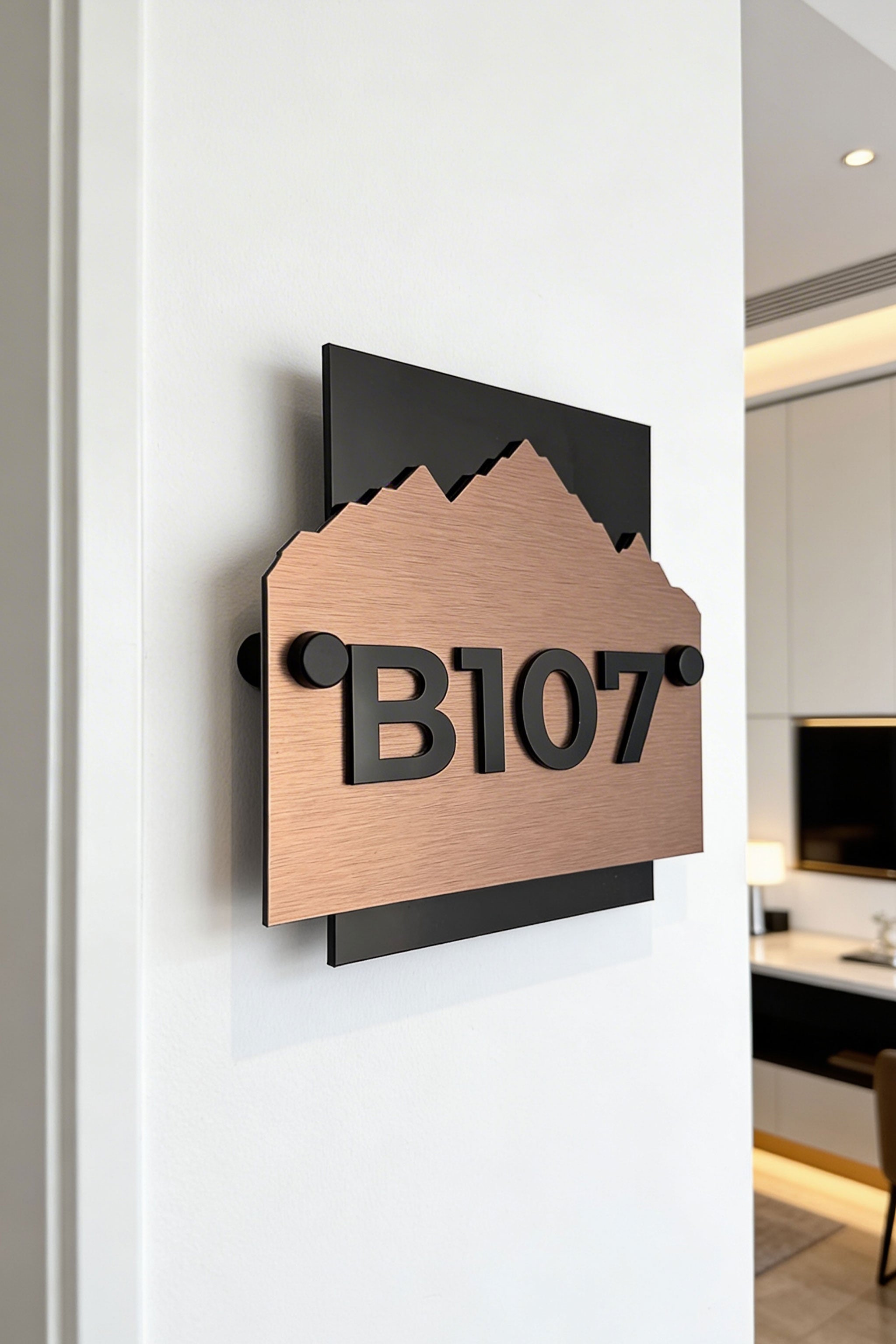 ALUMADESIGNCO Alpine Design modern standoff wall number sign in brushed bronze and black acrylic, premium hotel room and apartment door number signage