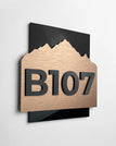 Bronze