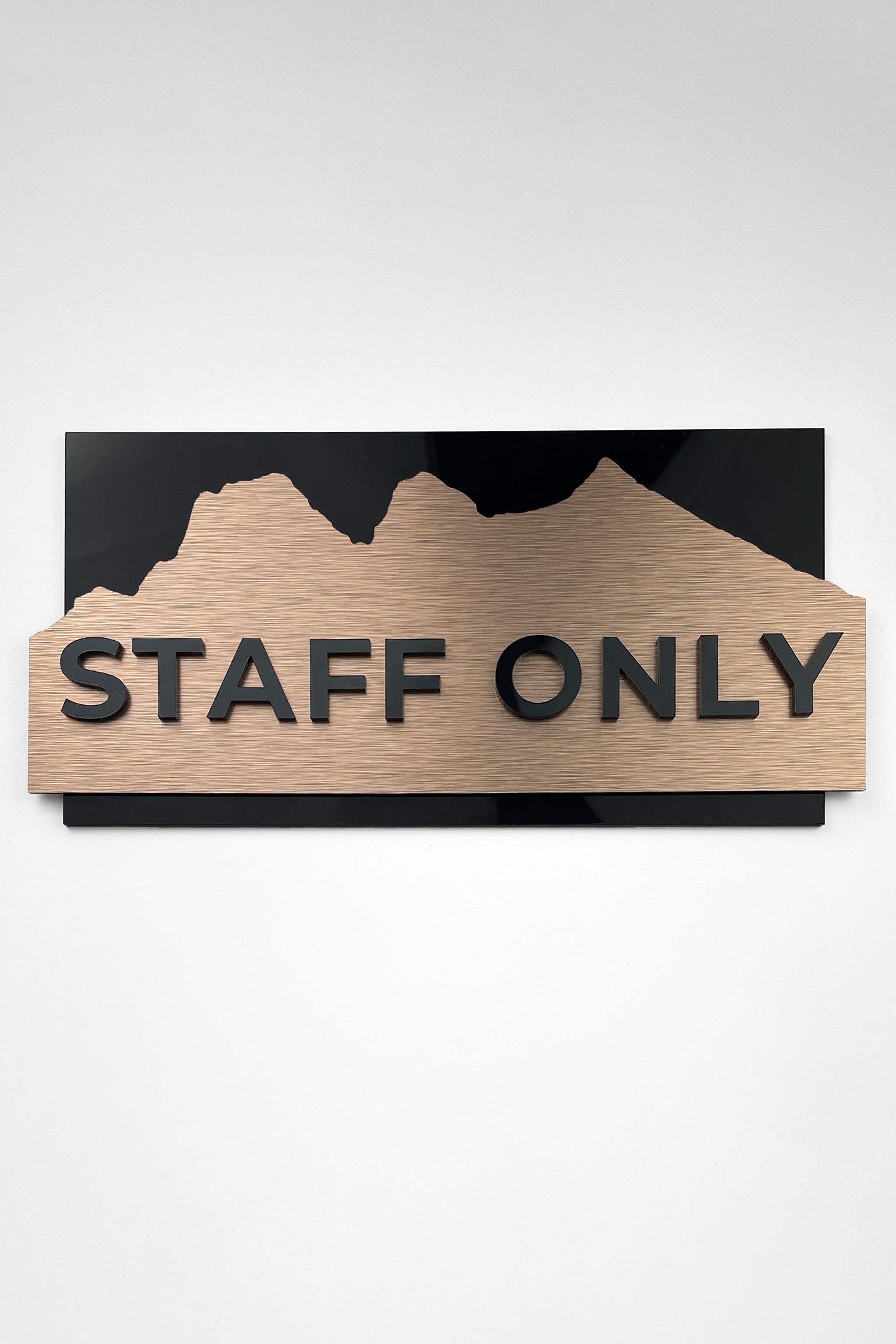 Modern custom door sign by ALUMADESIGNCO combining brushed bronze metal panel and raised black acrylic lettering, stylish signage for interiors